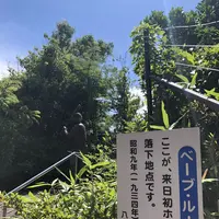 八木山動物公園フジサキの杜の写真・動画_image_216155
