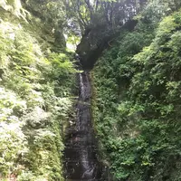 金神の滝の写真・動画_image_216352