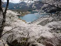 大野ダムの写真・動画_image_221854