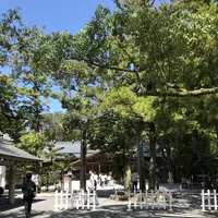 猿田彦神社の写真・動画_image_222492