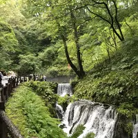 白糸の滝の写真・動画_image_222643