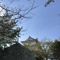 丸亀城の写真・動画_image_224502