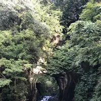濃溝の滝の写真・動画_image_226137