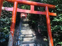 日御碕神社の写真・動画_image_228291