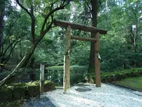 平泉寺白山神社の写真・動画_image_228629