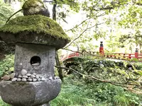 須賀の滝の写真・動画_image_229942