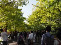国営昭和記念公園の写真・動画_image_230477