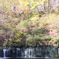 白糸の滝の写真・動画_image_231643