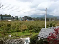 原田農園の写真・動画_image_233854
