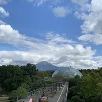鳥取県立フラワーパークとっとり花回廊の写真・動画_image_234863