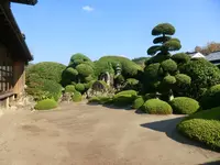 知覧武家屋敷庭園群の写真・動画_image_235044