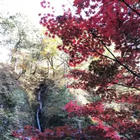 榛名神社の写真・動画_image_237170