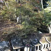 榛名神社の写真・動画_image_237171