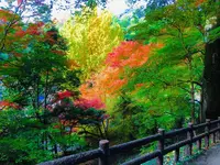 尾関山公園の写真・動画_image_238547