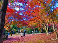 尾関山公園の写真・動画_image_238549