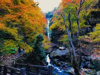 神庭の滝の写真・動画_image_239579