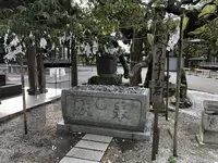 宮地嶽神社の写真・動画_image_240633