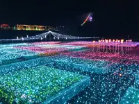 鳥取県立フラワーパークとっとり花回廊の写真・動画_image_241031