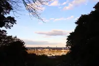 京王百草園の写真・動画_image_241968