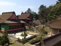 日御碕神社の写真・動画_image_241985