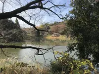 県立 三ツ池公園の写真・動画_image_242149