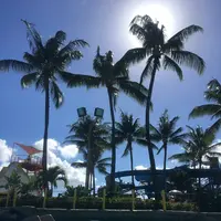 Wet'n'Wild Hawaiiの写真・動画_image_245083
