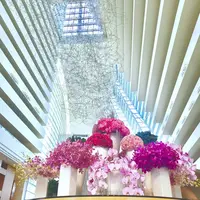 Marina Bay Sands Singapore（マリーナベイ・サンズ）の写真・動画_image_245486