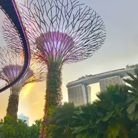 ガーデンズ・バイ・ザ・ベイの写真・動画_image_245491