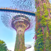 ガーデンズ・バイ・ザ・ベイの写真・動画_image_245492
