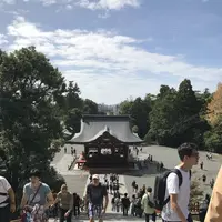 鶴岡八幡宮の写真・動画_image_246763