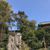 鶴岡八幡宮の写真・動画_image_246765