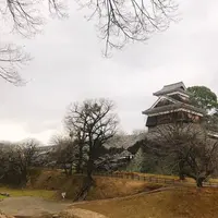 熊本城の写真・動画_image_247840