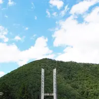 向山橋の写真・動画_image_248761