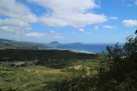 Diamond head（ダイヤモンド・ヘッド）の写真・動画_image_249833