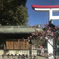 鎌倉宮の写真・動画_image_250375