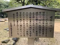 広島城の写真・動画_image_250747