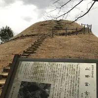 山田富士公園の写真・動画_image_252236