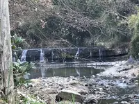 黒滝の写真・動画_image_253766