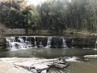 黒滝の写真・動画_image_253769