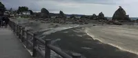 橋杭岩の写真・動画_image_257262