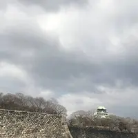 大阪城の写真・動画_image_258627