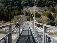 音の谷吊り橋の写真・動画_image_265190