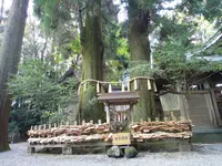 高千穂神社の写真・動画_image_265232