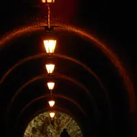 国登録文化財「明治宇津ノ谷隧道」の写真・動画_image_267852
