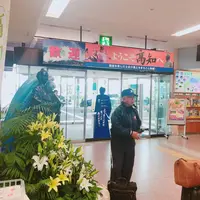 高知空港（高知龍馬空港）の写真・動画_image_267914