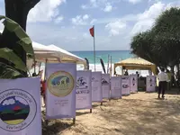 Kata Beachの写真・動画_image_271307