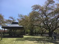 伊佐須美神社の写真・動画_image_274002