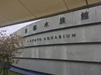 京都水族館の写真・動画_image_274215