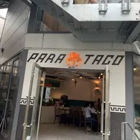 PARATACO - パラタコの写真・動画_image_274279