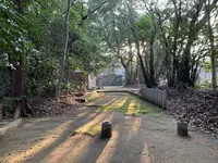 畝尾都多本神社の写真・動画_image_275892